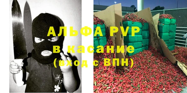 СК Волоколамск