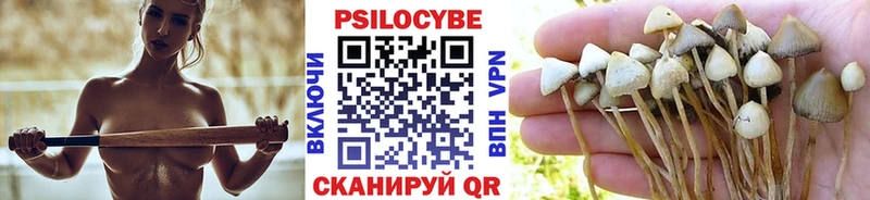 Псилоцибиновые грибы прущие грибы Улан-Удэ