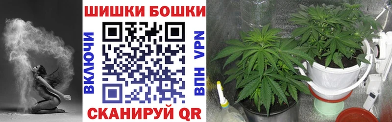 Шишки марихуана планчик  купить наркотики цена  Улан-Удэ 